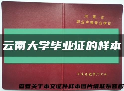 云南大学毕业证的样本缩略图