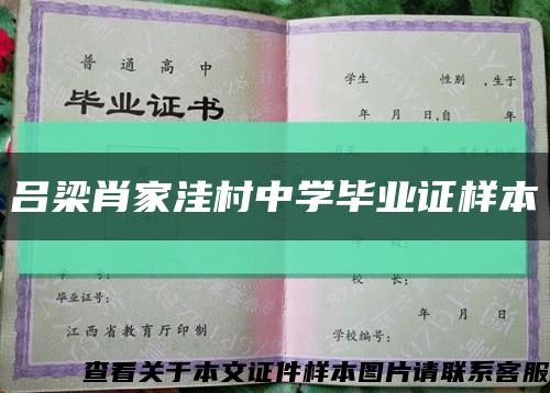 吕梁肖家洼村中学毕业证样本缩略图