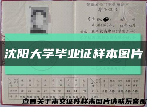 沈阳大学毕业证样本图片缩略图