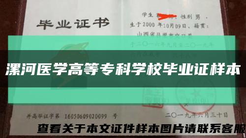 漯河医学高等专科学校毕业证样本缩略图