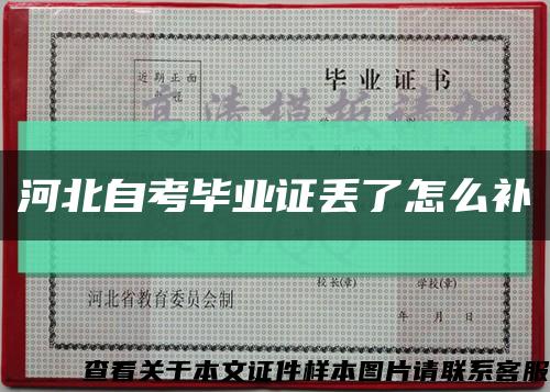 河北自考毕业证丢了怎么补缩略图