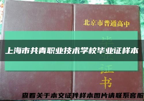 上海市共青职业技术学校毕业证样本缩略图