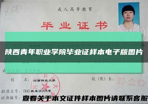 陕西青年职业学院毕业证样本电子版图片缩略图