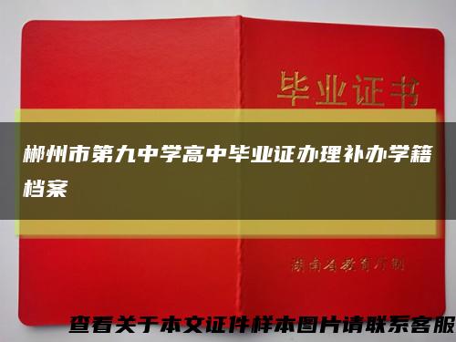 郴州市第九中学高中毕业证办理补办学籍档案缩略图