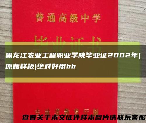 黑龙江农业工程职业学院毕业证2002年(原版样板)绝对好用bb缩略图