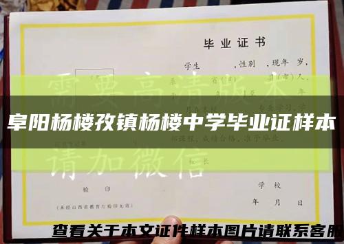 阜阳杨楼孜镇杨楼中学毕业证样本缩略图