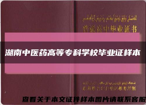 湖南中医药高等专科学校毕业证样本缩略图