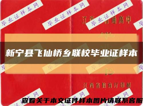 新宁县飞仙桥乡联校毕业证样本缩略图