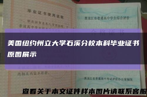 美国纽约州立大学石溪分校本科毕业证书原图展示缩略图