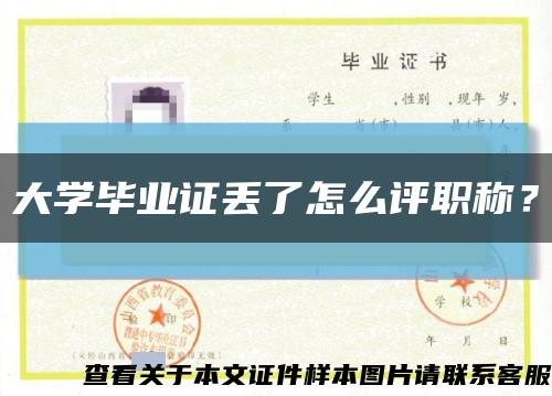 大学毕业证丢了怎么评职称？缩略图