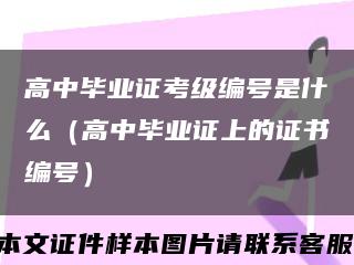 高中毕业证考级编号是什么（高中毕业证上的证书编号）缩略图