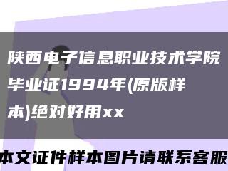 陕西电子信息职业技术学院毕业证1994年(原版样本)绝对好用xx缩略图