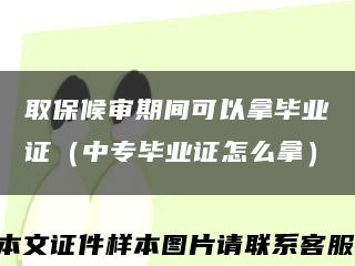 取保候审期间可以拿毕业证（中专毕业证怎么拿）缩略图