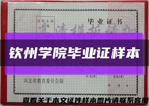 钦州学院毕业证样本缩略图