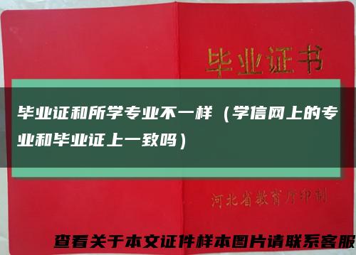 毕业证和所学专业不一样（学信网上的专业和毕业证上一致吗）缩略图