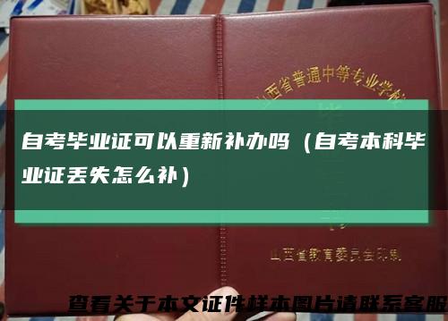 自考毕业证可以重新补办吗（自考本科毕业证丢失怎么补）缩略图