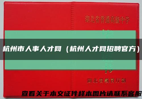 杭州市人事人才网（杭州人才网招聘官方）缩略图