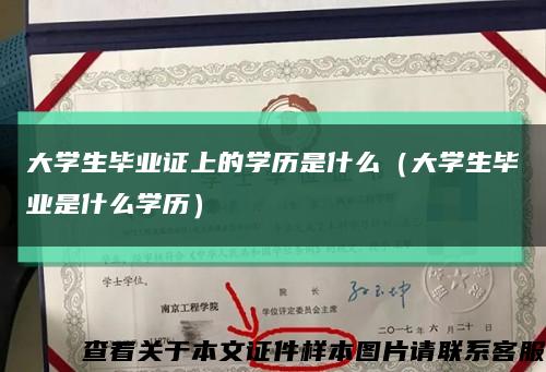 大学生毕业证上的学历是什么（大学生毕业是什么学历）缩略图