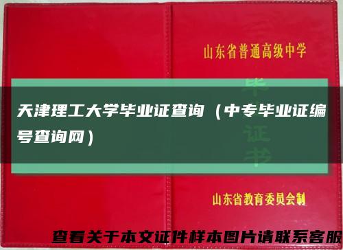 天津理工大学毕业证查询（中专毕业证编号查询网）缩略图