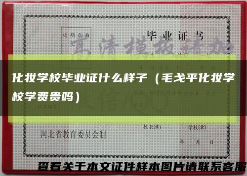 化妆学校毕业证什么样子（毛戈平化妆学校学费贵吗）缩略图