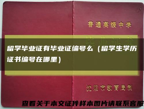 留学毕业证有毕业证编号么（留学生学历证书编号在哪里）缩略图