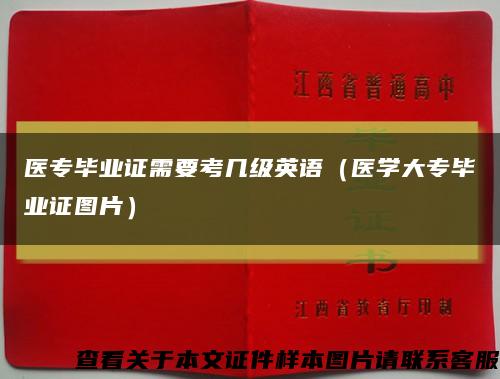 医专毕业证需要考几级英语（医学大专毕业证图片）缩略图