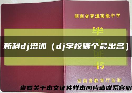 新科dj培训（dj学校哪个最出名）缩略图