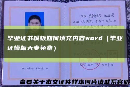 毕业证书模板如何填充内容word（毕业证模板大专免费）缩略图