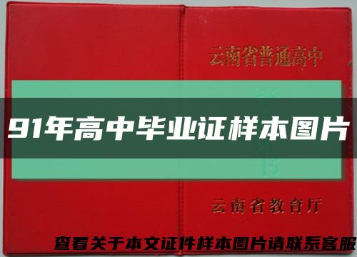 91年高中毕业证样本图片缩略图