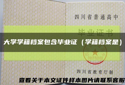 大学学籍档案包含毕业证（学籍档案是）缩略图