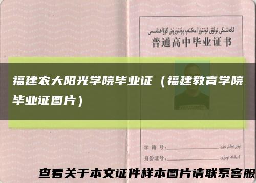 福建农大阳光学院毕业证（福建教育学院毕业证图片）缩略图