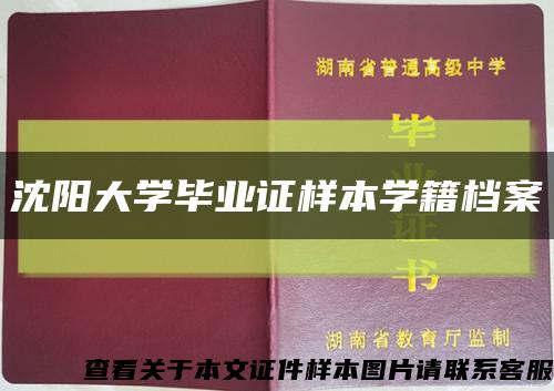 沈阳大学毕业证样本学籍档案缩略图