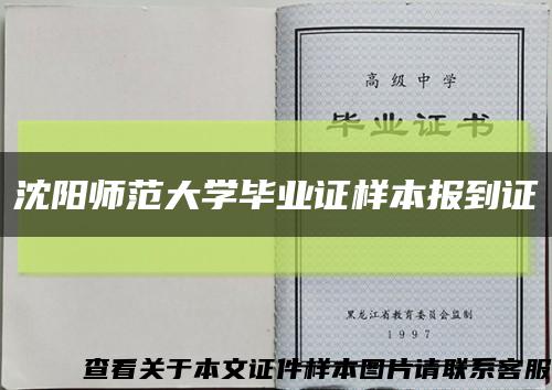 沈阳师范大学毕业证样本报到证缩略图