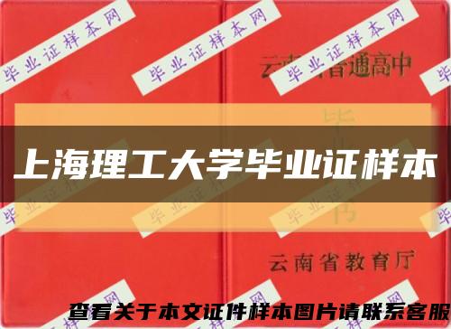 上海理工大学毕业证样本缩略图