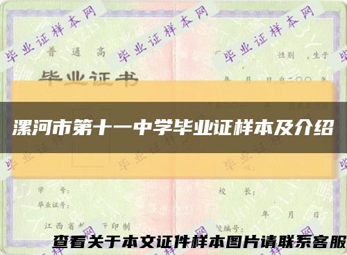 漯河市第十一中学毕业证样本及介绍缩略图