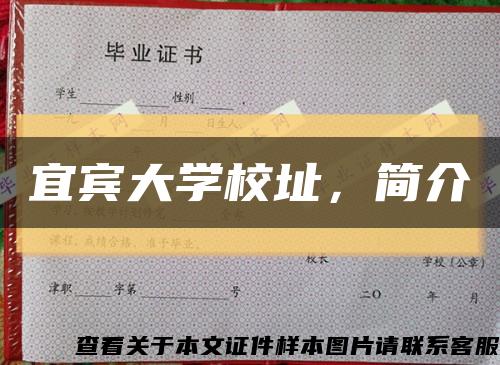 宜宾大学校址，简介缩略图