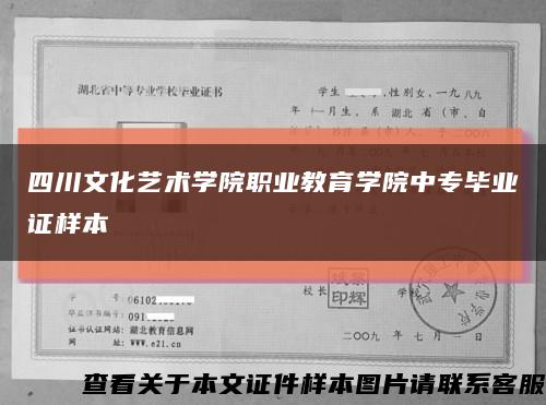 四川文化艺术学院职业教育学院中专毕业证样本缩略图