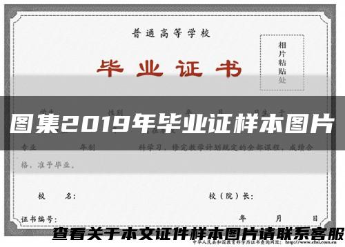 图集2019年毕业证样本图片缩略图