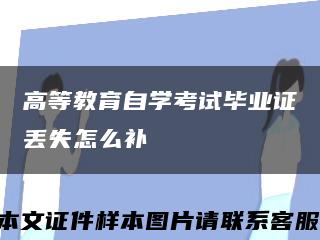 高等教育自学考试毕业证丢失怎么补缩略图