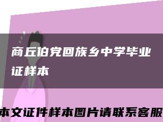 商丘伯党回族乡中学毕业证样本缩略图