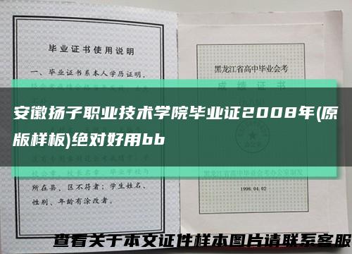 安徽扬子职业技术学院毕业证2008年(原版样板)绝对好用bb缩略图