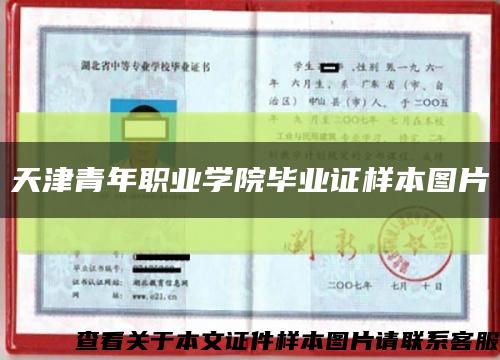 天津青年职业学院毕业证样本图片缩略图