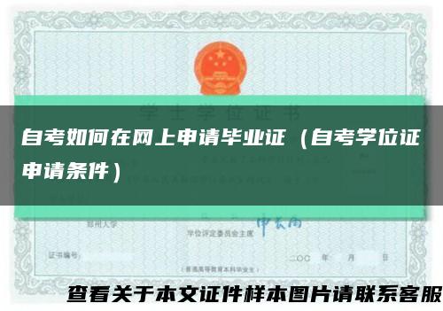 自考如何在网上申请毕业证（自考学位证申请条件）缩略图