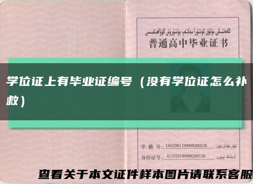 学位证上有毕业证编号（没有学位证怎么补救）缩略图