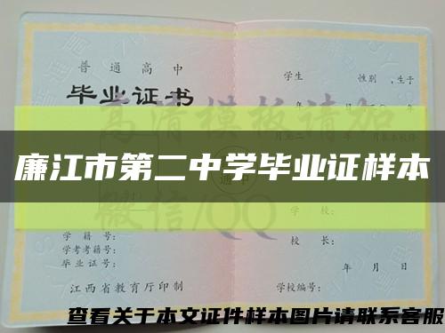 廉江市第二中学毕业证样本缩略图