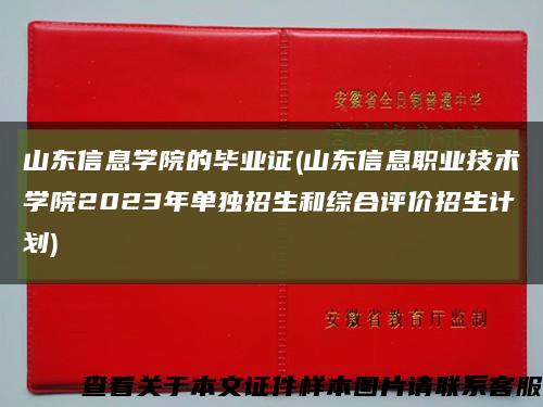 山东信息学院的毕业证(山东信息职业技术学院2023年单独招生和综合评价招生计划)缩略图