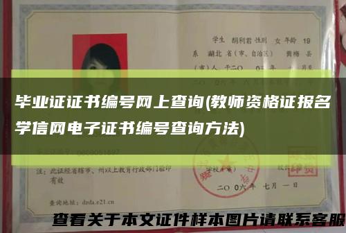 毕业证证书编号网上查询(教师资格证报名学信网电子证书编号查询方法)缩略图