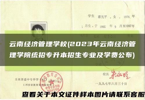 云南经济管理学校(2023年云南经济管理学院统招专升本招生专业及学费公布)缩略图