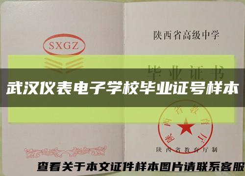 武汉仪表电子学校毕业证号样本缩略图