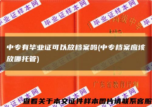 中专有毕业证可以放档案吗(中专档案应该放哪托管)缩略图